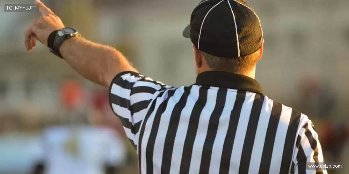 🎙️深度解读，冠军之路！🏆揭秘赛场背后的热血与汗水！